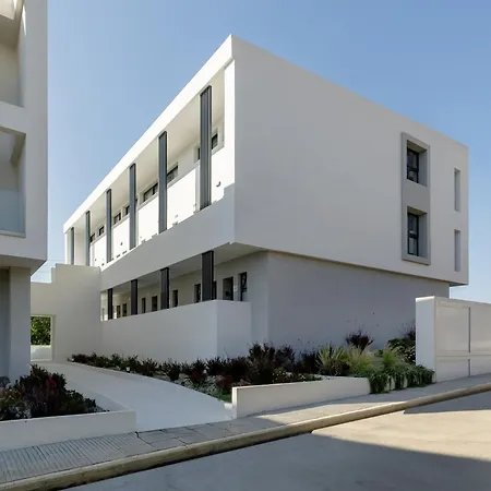 Apartment Calm Chaos 3