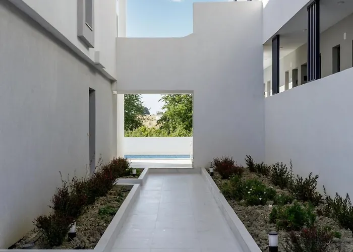 Calm Chaos 3 Apartment